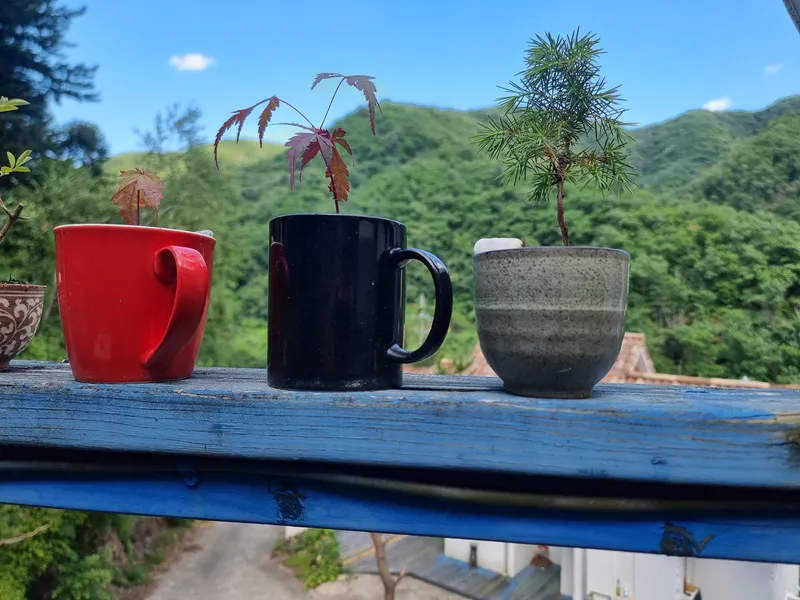 [경기 가평] 북한강변에서 자연인체험해보기 .와이 8