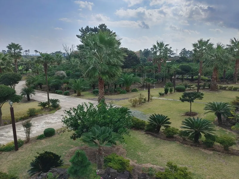[Seongsan, Seogwipo] A two-story detached house with palm trees and a large lawn garden 24