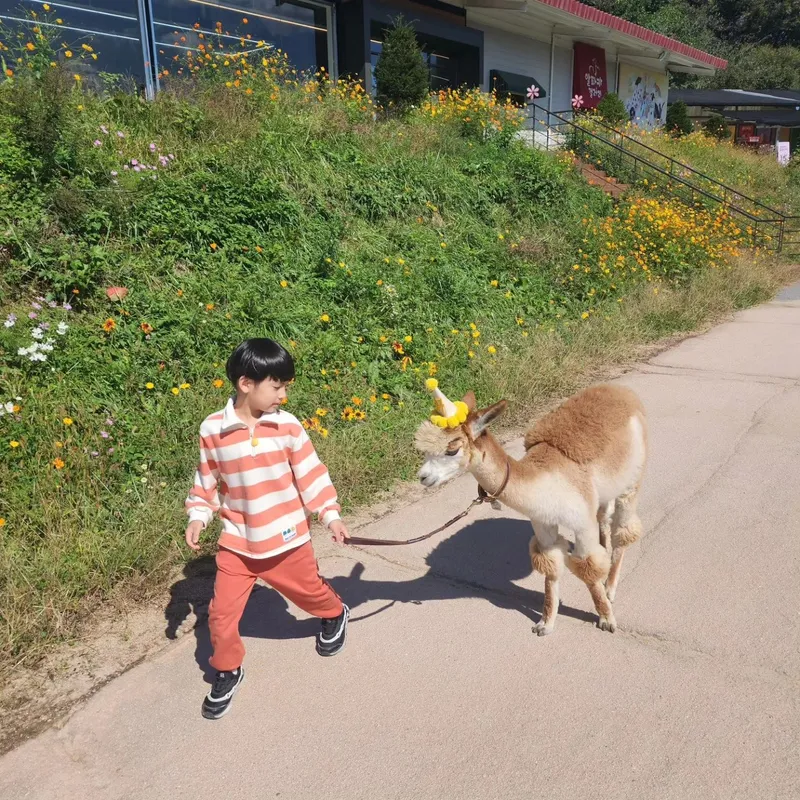 [Hongcheon] 45 pyeong detached house & duplex country villa with yard in harmony with nature 60