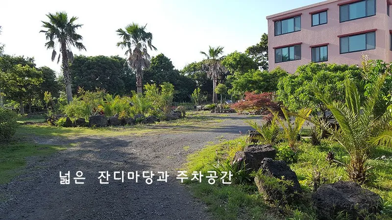 [Pyoseon, Seogwipo] 102nd house in a country house full of humanity in a palm tree forest by the sea 18