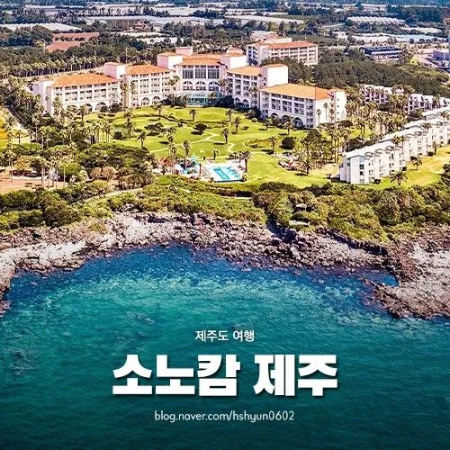 [Pyoseon, Seogwipo] 102nd house in a country house full of humanity in a palm tree forest by the sea 23