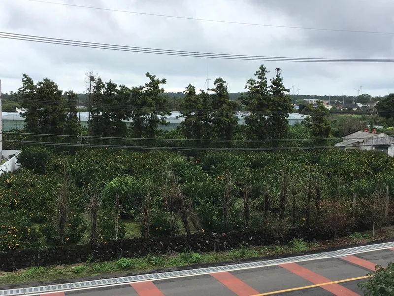 [Jocheon, Jeju][Jeju Pretty House] #Jeju Clean House #One Month Living #Hamdeok Accommodation #New Construction #3-story Independent House #Electric Car Charger 62