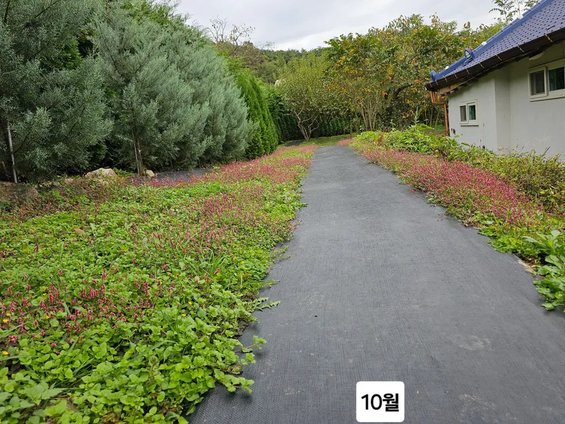 [Sunchang] Thatched-roof remodeled 2-room detached house #Pets allowed 12