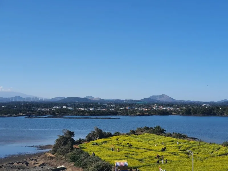 [Seongsan, Seogwipo] Full-option duplex ocean view from my home window, Seongsan Sunrise Peak walk 24