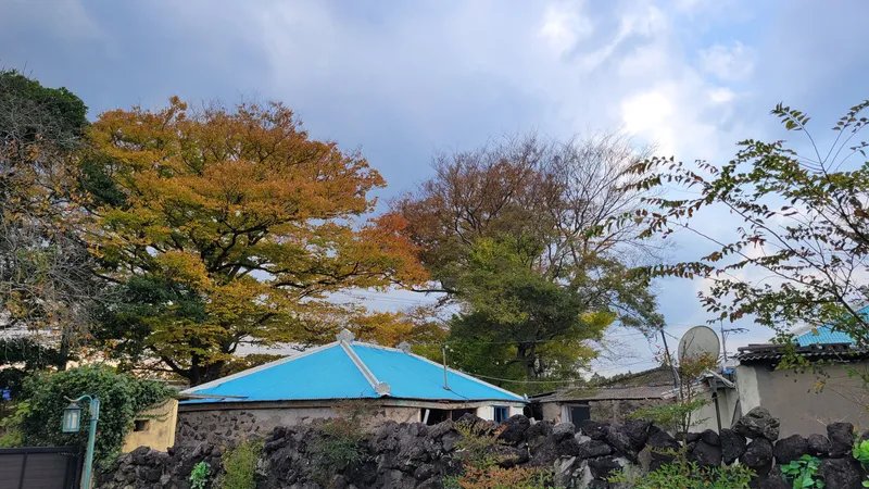 [Aewol, Jeju] Lawn yard stone wall detached house annex #Pets allowed #Early check-in 46