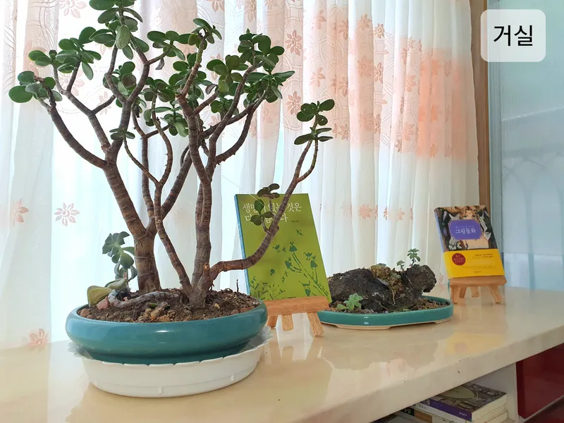 [Geoje] Spacious house of 50 pyeong/ Recommended accommodation for family travel (3 rooms + 2 bathrooms)/ With pets 22