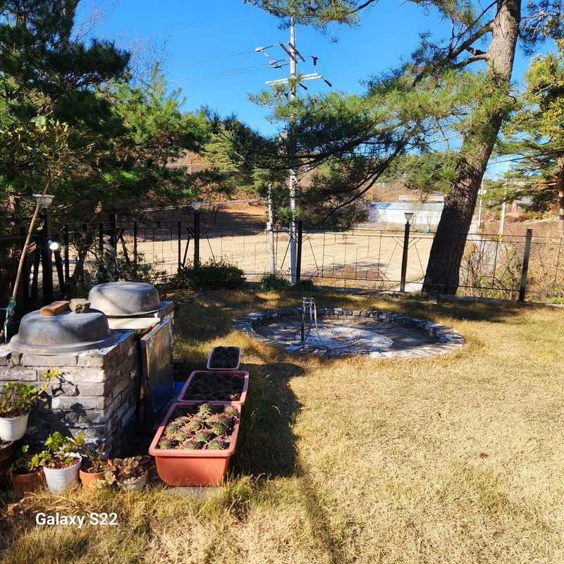 [강원 강릉] 반려견 동반 가능 잔디마당 있는 독채 45
