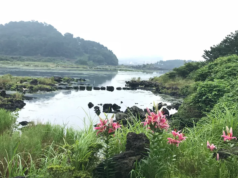[서귀포 성산] 제주도 동부제일풍광속 힐링공간 버스정류장정도보1분#205호 18