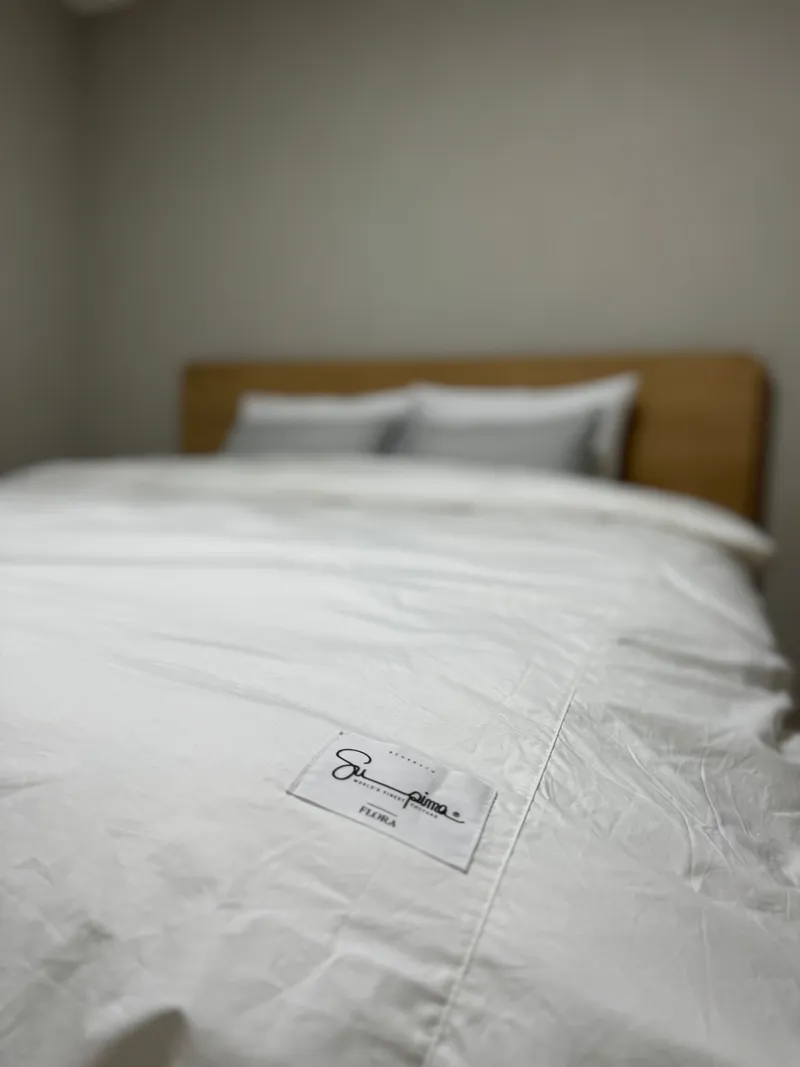 [Sejong] Fully furnished apartment in the city center 3