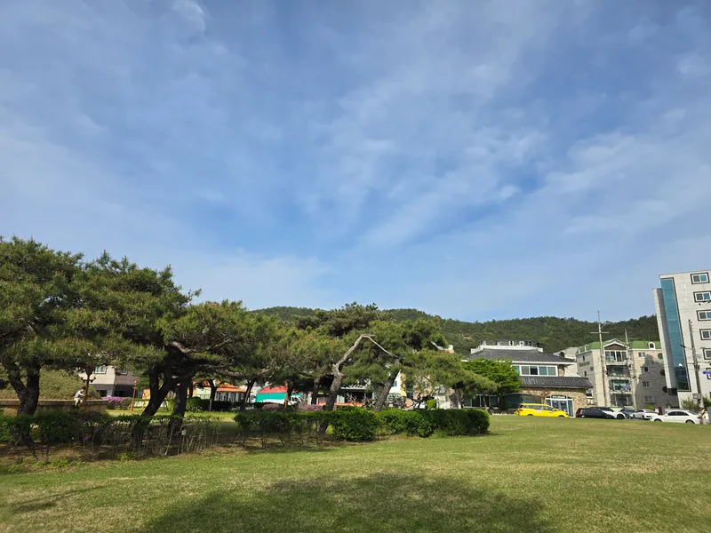 [경북 경주] 공원앞뜰이 있는 투룸 돌집 2층 14