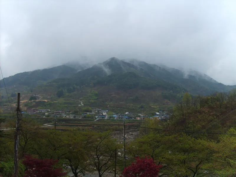 [Hadong] Jirisan Ssanggyesa Seomjin River Hwagae Market Yeongho-nam Place No. 205 12