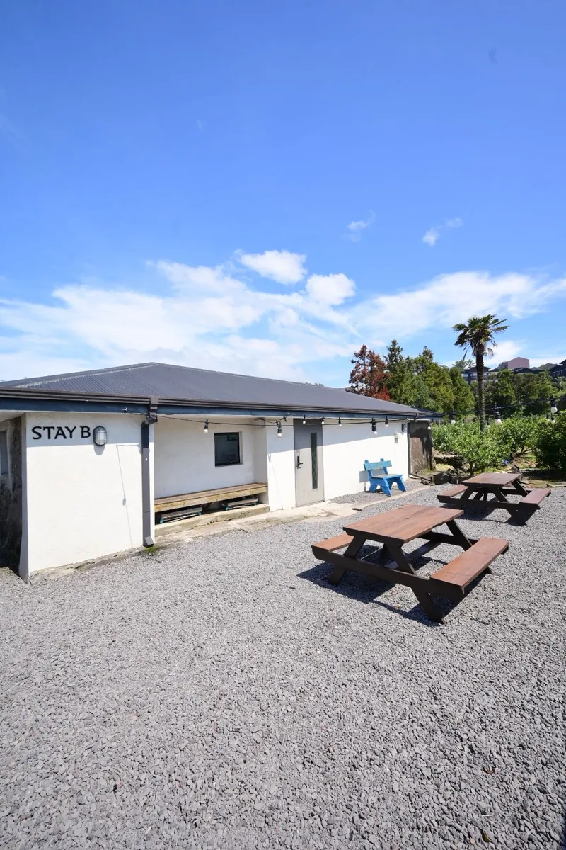 [Aewol, Jeju] Remodeled two-room traditional stone house B with a 100-year-old zelkova tree 23