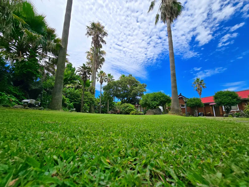 [Aewol, Jeju] 6. Log cabin in a palm forest #Near the sea #Workshop experience #Bulmyeong 22