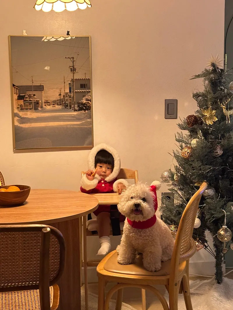 [서귀포 대정] 정원이 아름다운 프라이빗 독채 #애견동반#돌집#마당 45
