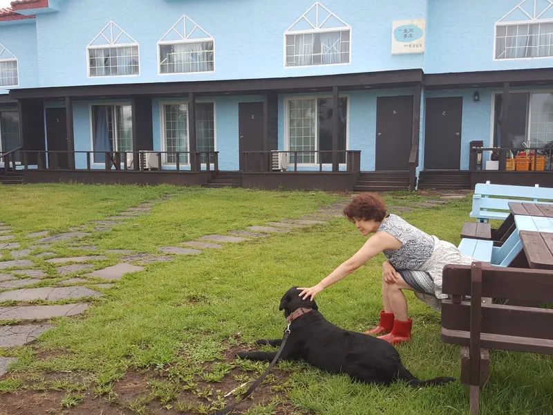 [Namwon, Seogwipo] Ocean View Blue House (Premium) Right in Front of the Beach 27