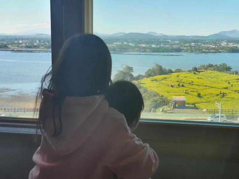 [Seongsan, Seogwipo] Full-option duplex ocean view from my home window, Seongsan Sunrise Peak walk 25