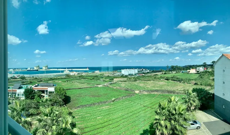 [제주 애월] 구해줘 홈즈에 방영 거실에서 돌고래를 볼수 있는 오션뷰복층 16