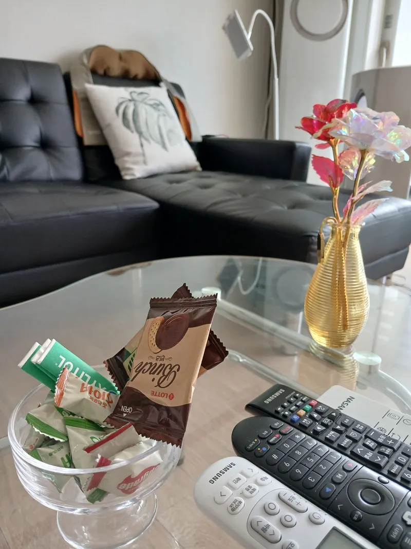 [대전 유성] 성심당 차로 10분 숲힐링 영화촬영지 40