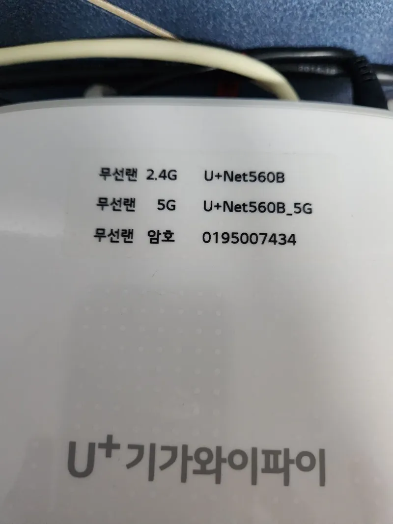 [부산 해운대] 달맞이 해돋이 명소 도보5분#놀이방#애견동반 가능 50