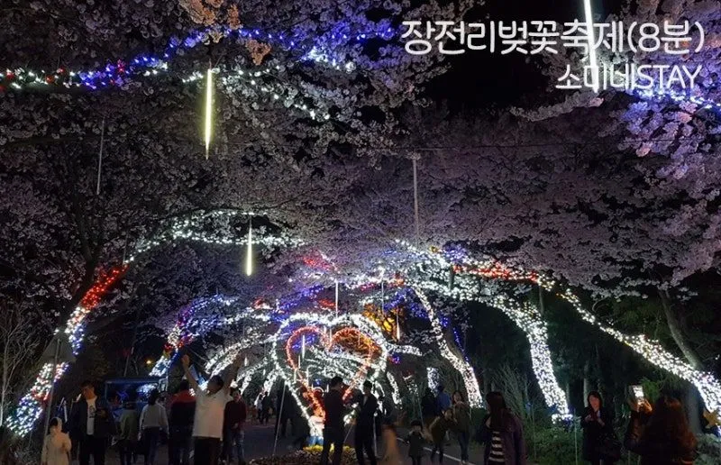 [Aewol, Jeju] Jeju's vintage-feeling independent house with good transportation 47