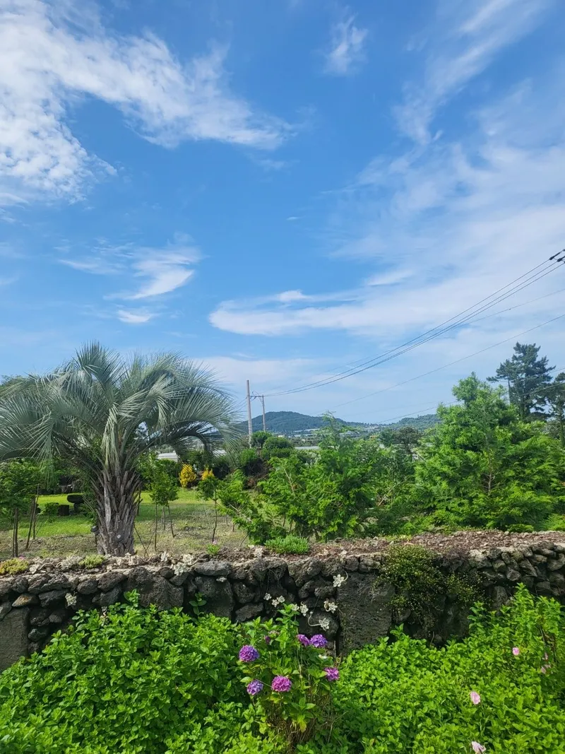 [Hallim, Jeju] Pet-friendly western-facing emotional lodging, private bunker for families 56