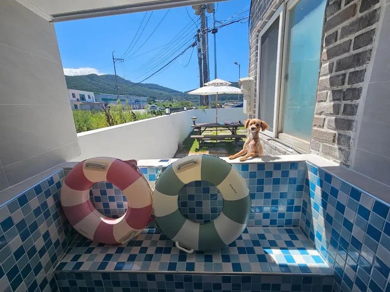 [Geoje] A healing house in front of the beach for one team only #Dogs allowed 38