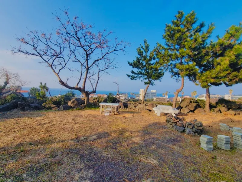 [제주 애월] 1000평 정원이 있는 오션뷰 독채 #해안도로 #스세권 53