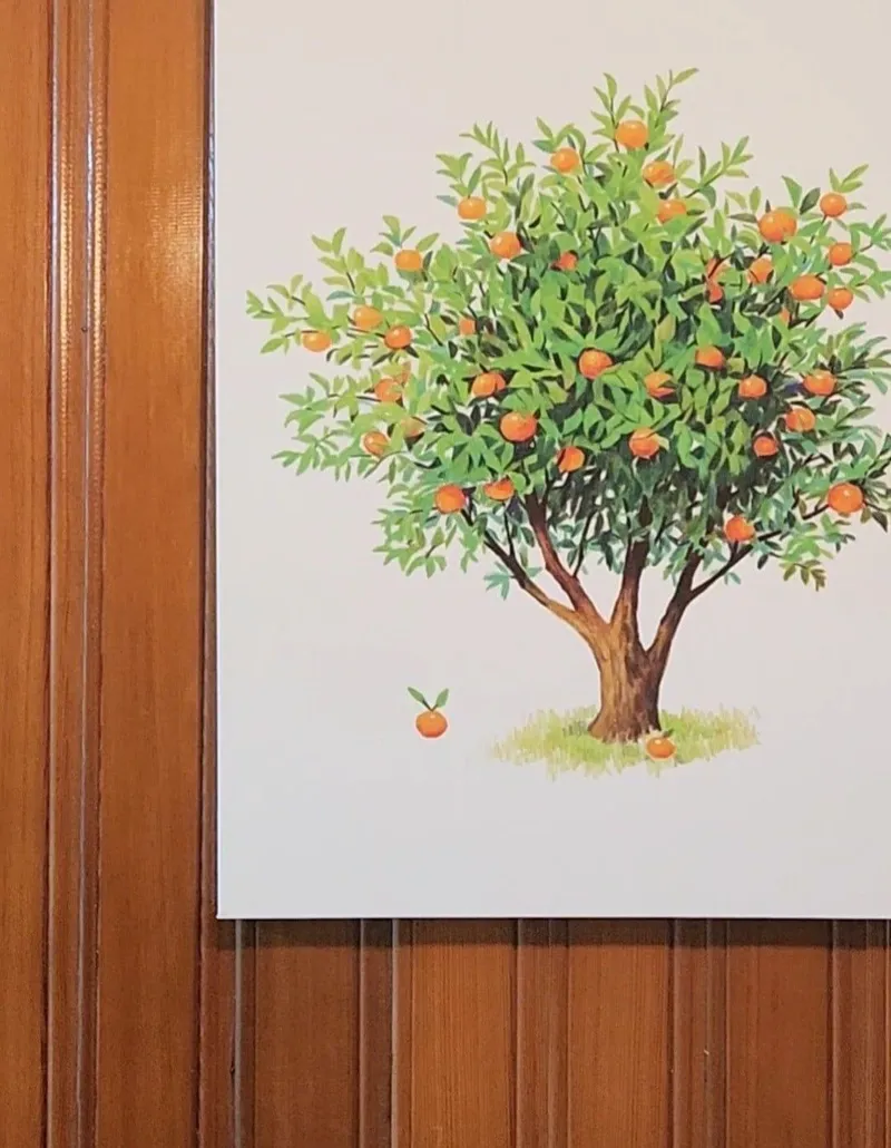 [Hangyeong, Jeju] West Stay Quiet emotional warm space 32