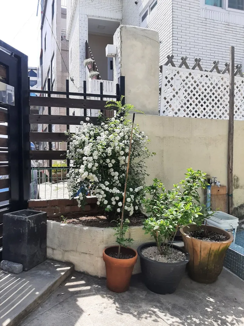 [Busanjin, Busan] 10-minute walk from Gaegeum Subway Station, 3-minute walk from Singaegeum Bus Stop 36