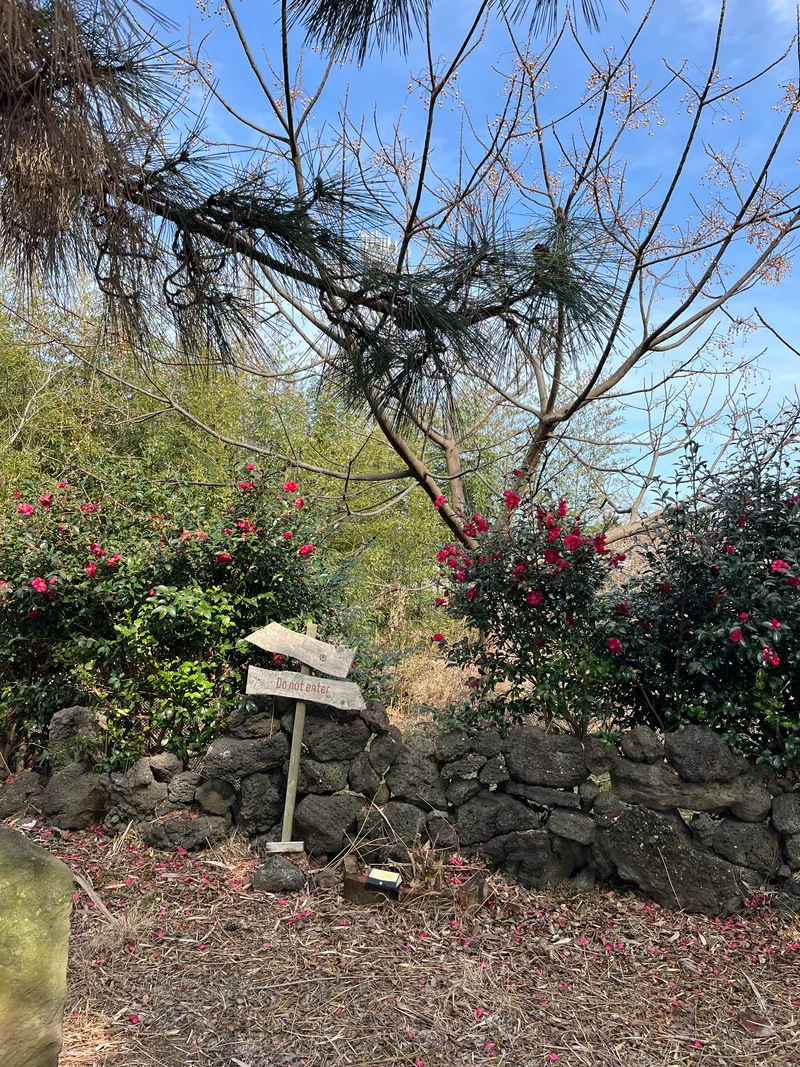 [Hallim, Jeju] 5-minute walk to Hyeopjae Beach, private house, dog-friendly, lawn yard, 47