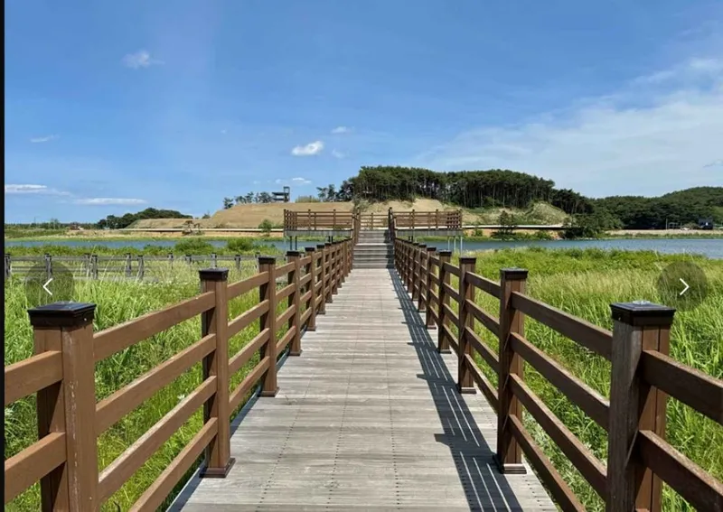 [Yangyang] Naksan Beach Sunrise #Seoraksan Mountain Sunset #Namdaecheon Riverside Trail & Water Sports 39
