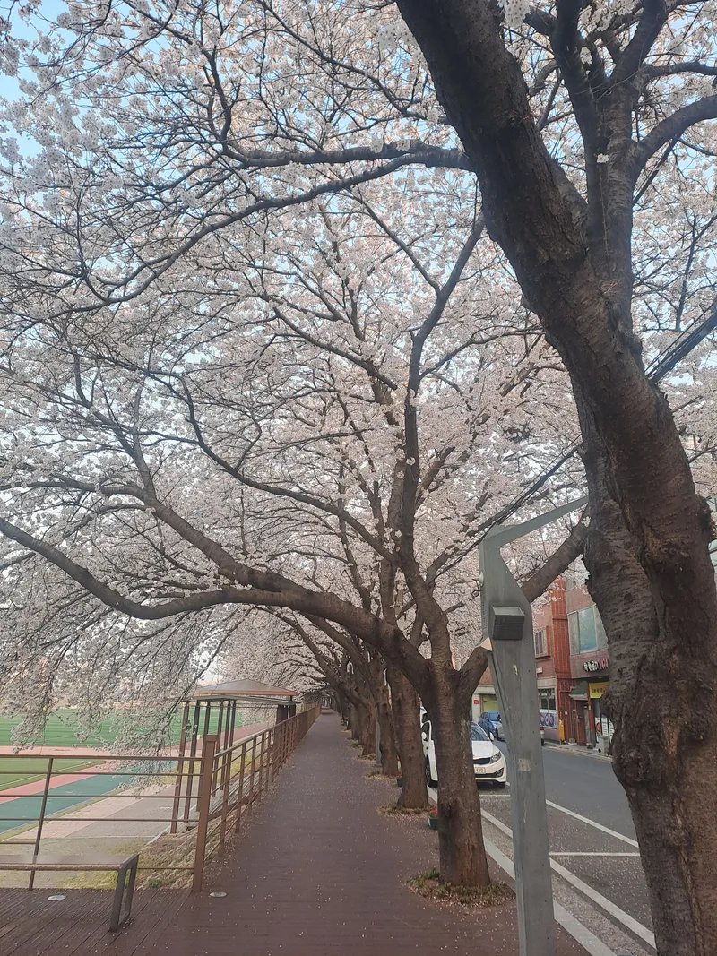 [울산 중구] 태화강국가정원이 내 앞마당처럼_ 우정혁신출장은  여행처럼 28