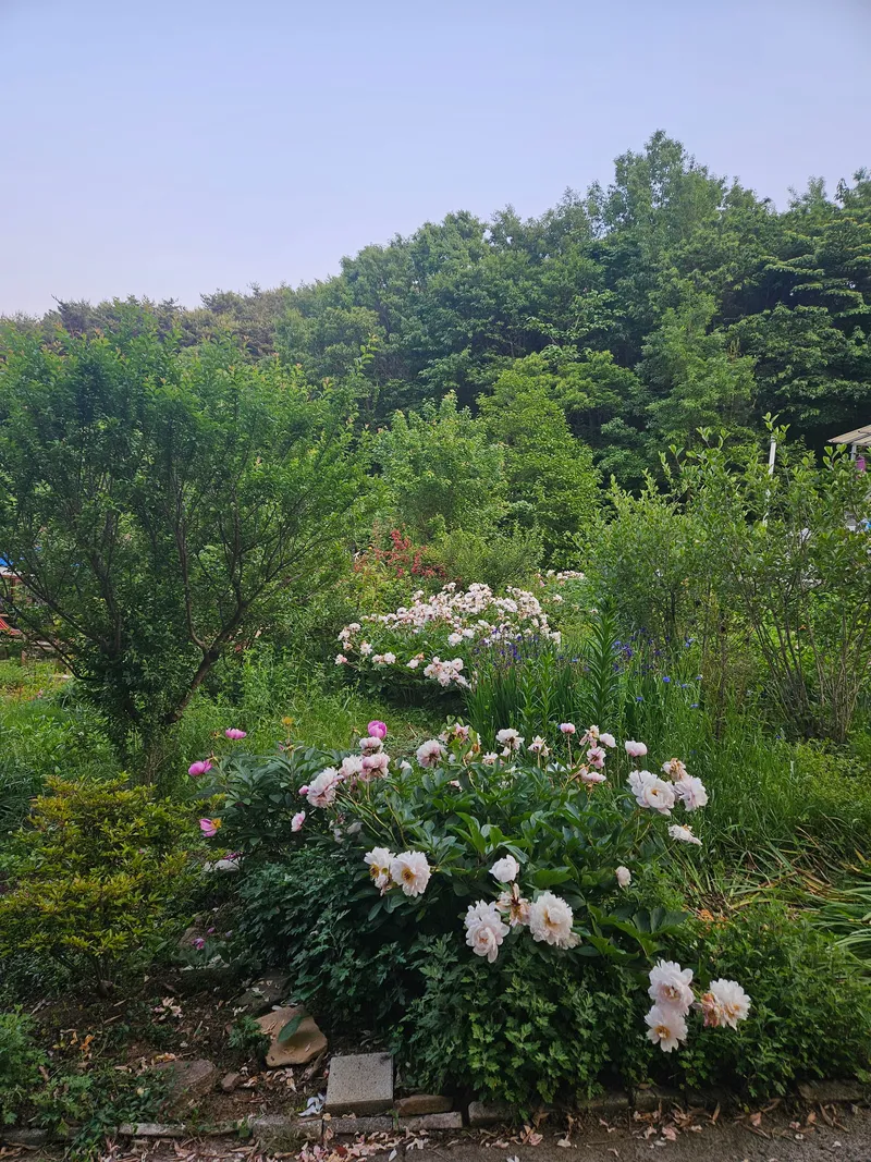 [충남 청양] 산속의 독채 촌캉스 #애견가능#오서산#보령#숲세권 21