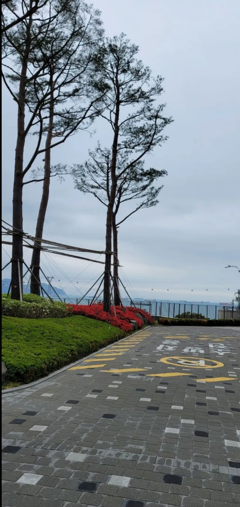 [Seo-gu, Busan] Songdo Ipyeonhan The First Beach View 22