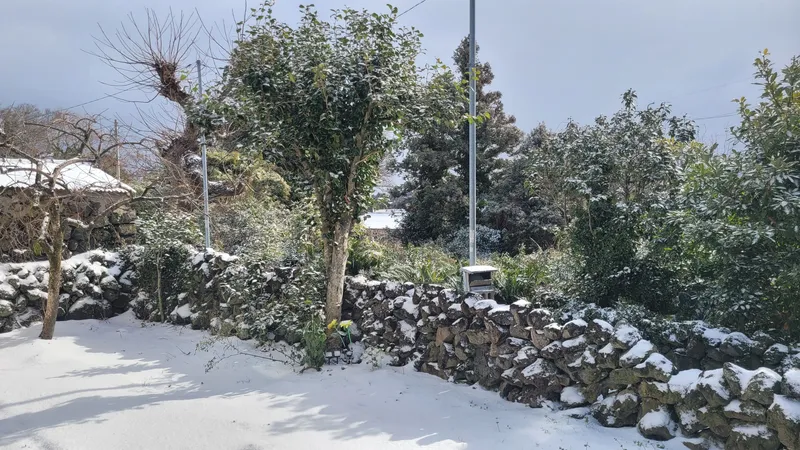 [Aewol, Jeju] Lawn yard stone wall detached house annex #Pets allowed #Early check-in 47