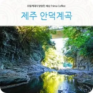 [서귀포 중문동] 15평 방2개,한라산뷰,오션뷰,불멍,바베큐 바다오름202 41