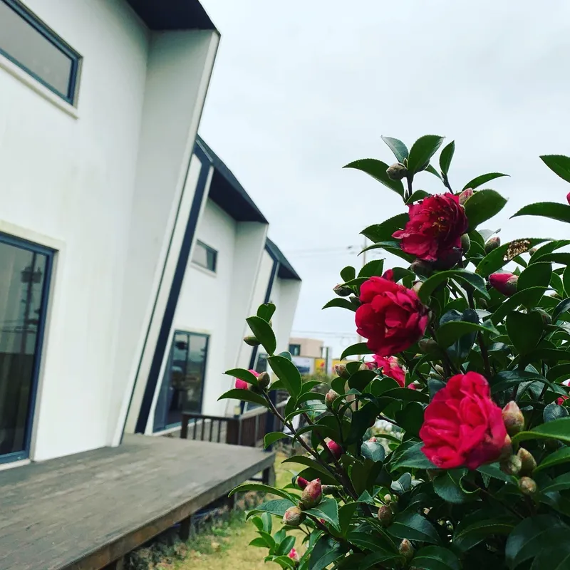 [Jocheon, Jeju] Two-room detached house with ocean view near Hamdeok Beach (Jeogi-dong) 19