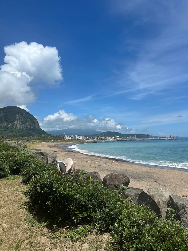 [Namwon, Seogwipo] Seogwipo Namwon Pyeoseon Sea 10 minutes Dog-friendly independent pool villa 23