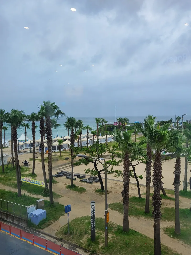 [Jocheon, Jeju] Luxury family accommodation 5 minutes walk from Hamdeok Beach 40