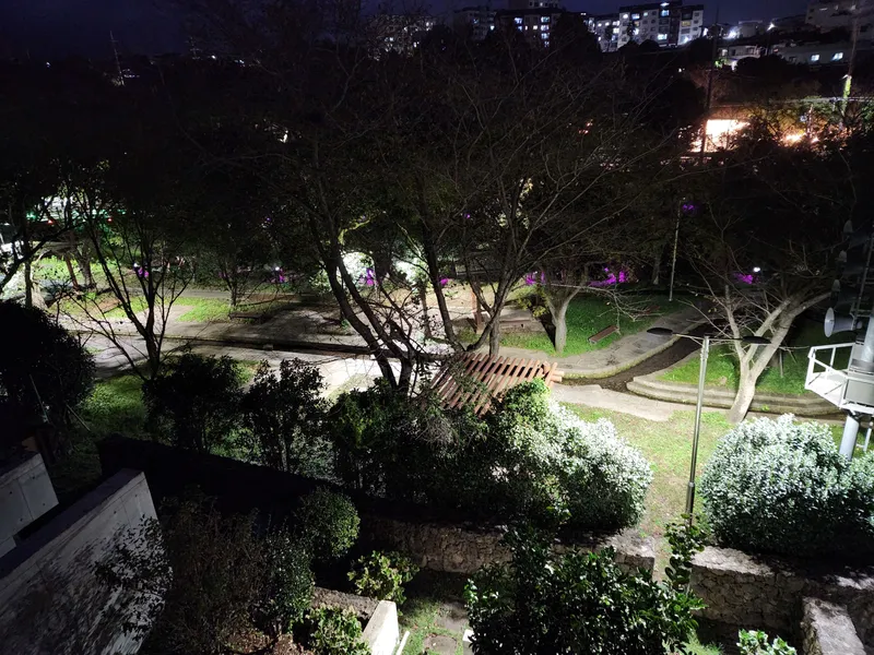 [Seohong-dong, Seogwipo] Healing House in the Park 54