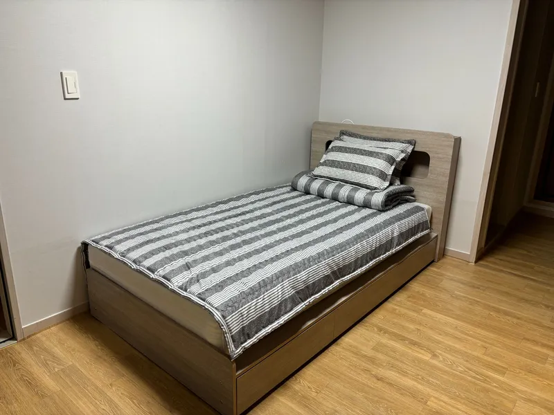 [제주 구좌] 비자림 힐링 16호집 4