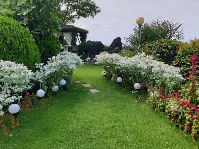 [Aewol, Jeju] Fantastic Landscape 30-Pyeong Detached House with Indoor Plant Garden and Fireplace 22
