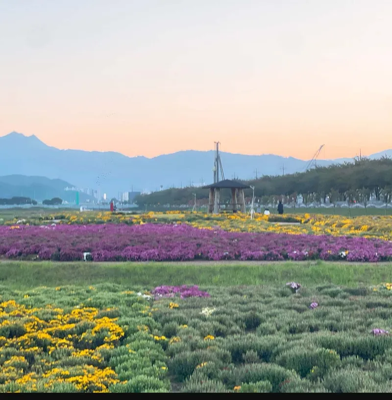 [Yangyang][Gangwon Sokcho Yangyang] Naksan Beach - & Namdaecheon Riverside Walk - Quiet Accommodation #Garden - & Balcony Barbecue 36