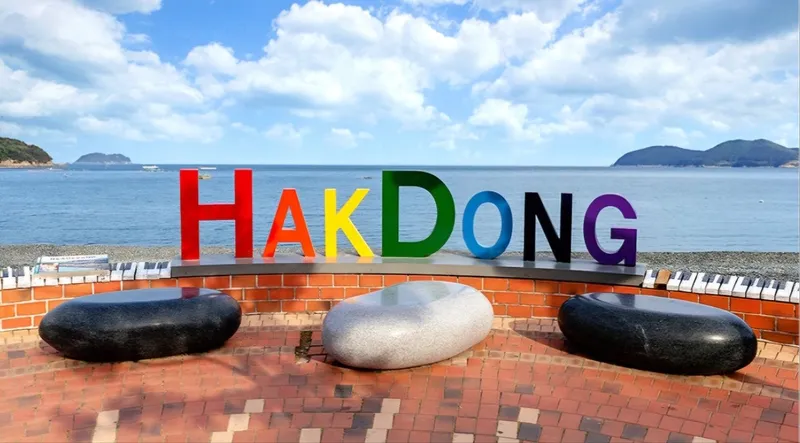 [Geoje] Hakdong Ocean View Monthly Living Workation Duplex 16