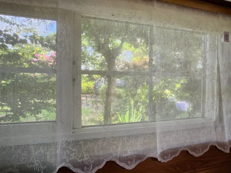 [Jocheon, Jeju] A cabin in the Seonheul Forest #Forest rights #And miniatures 6