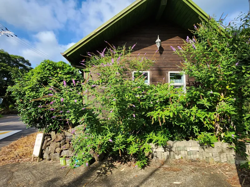[Jocheon, Jeju] A cabin in the Seonheul Forest #Forest rights #And miniatures 17