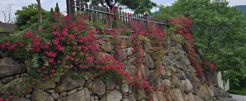 [Gurye] A tranquil house with a beautiful garden perfect for a trip to Gurye 25