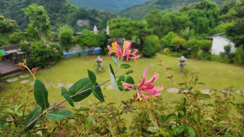 [Gurye] A tranquil house with a beautiful garden perfect for a trip to Gurye 23