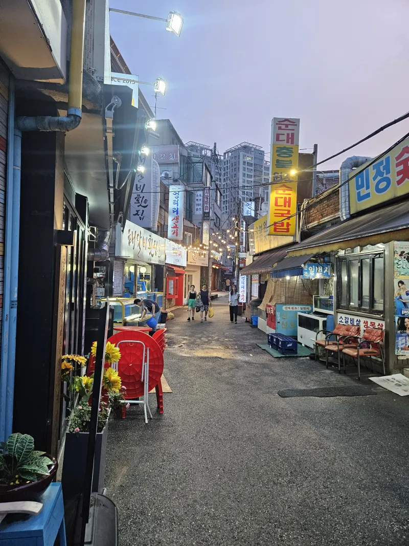 [서울 동작] 흑석역 1분 단층주택 13