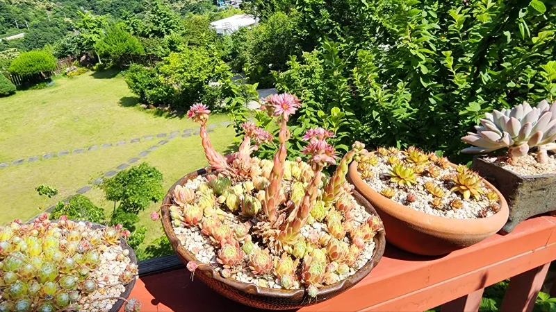 [Gurye] A tranquil house with a beautiful garden perfect for a trip to Gurye 36